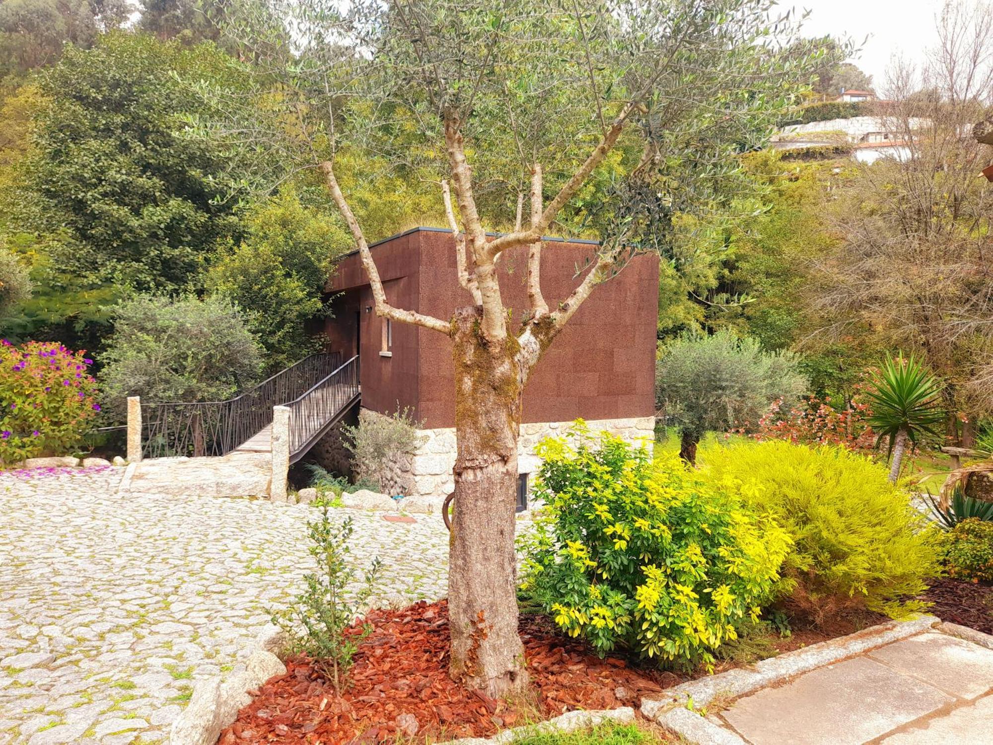 Moinhos Carvalhas Villa Arcos de Valdevez Exterior photo